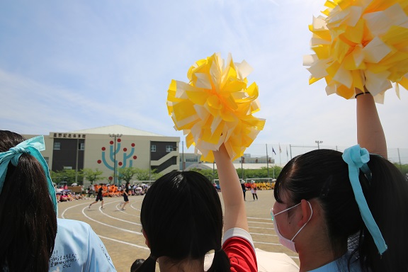 225A2981減.jpg