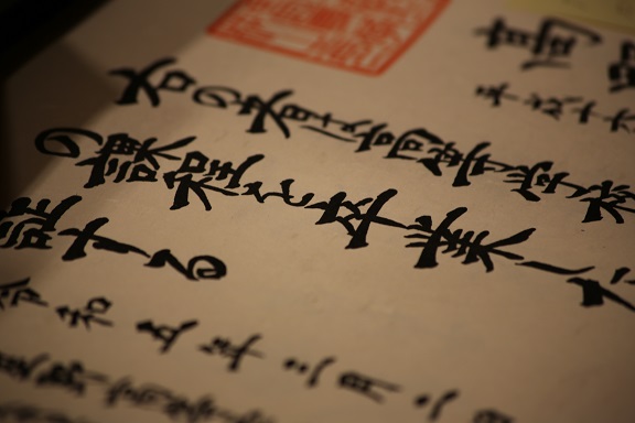 225A9957減.jpg