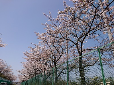 DSC_1500(3)減.jpg
