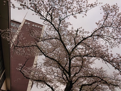 DSC_1507減.jpg