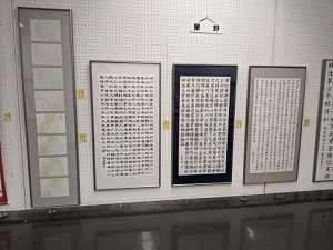 IMG_20211127_172053.jpg